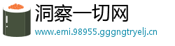 洞察一切网